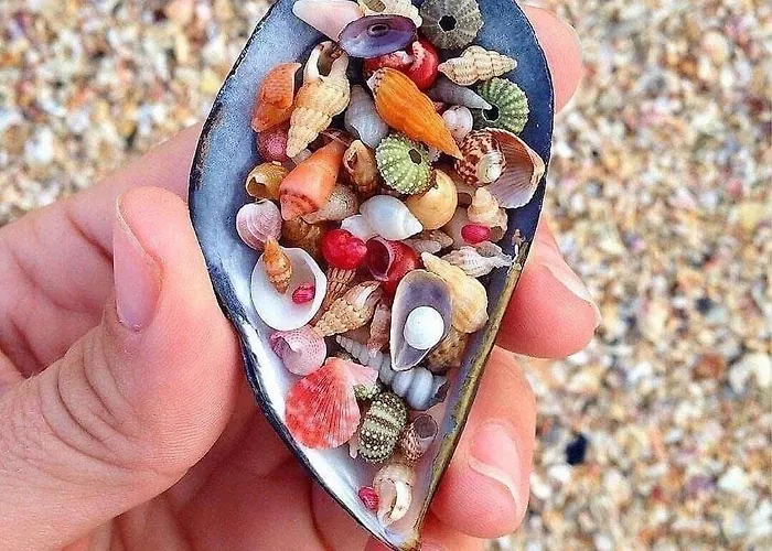 Luxury Ponti Hill Z Widokiem Na Morze Βίλα